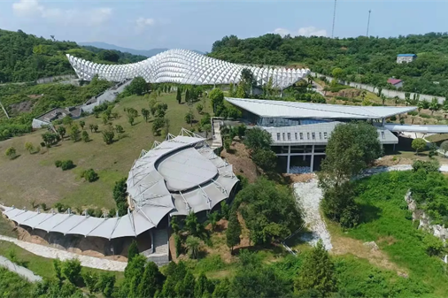 Qinglongshan Dinosaur Egg Fossil Group